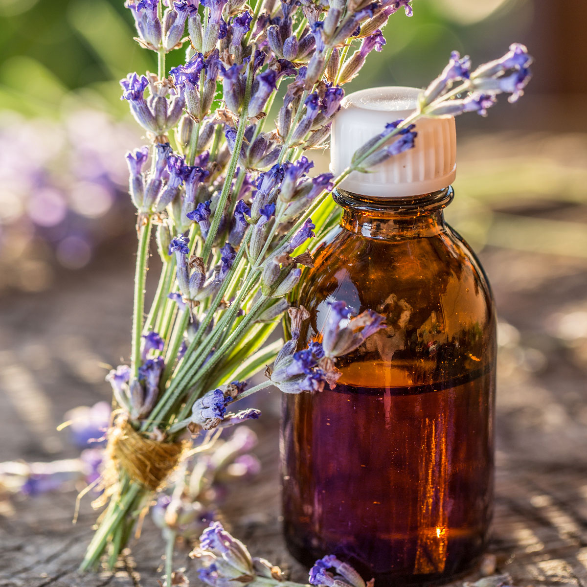 lavender oil