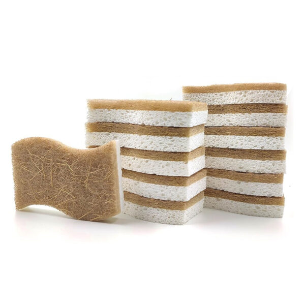 Dish Sponges