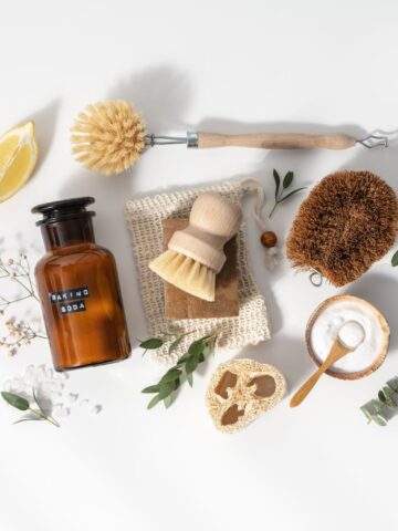Toxin-Free Home