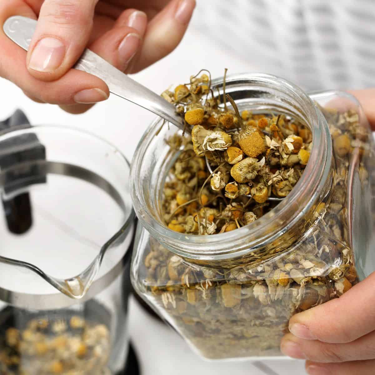 Herbs to calm the body and mind